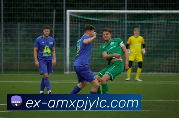 新葡京娱乐APP 体育赛事宣传图